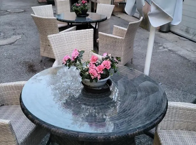 Viva Nord Таллінн